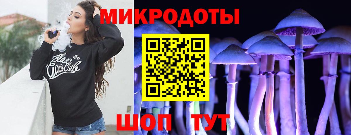 Галлюциногенные грибы Psilocybine cubensis Электросталь