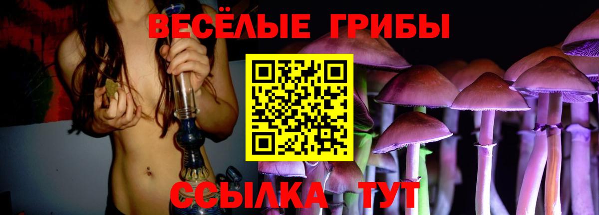 Электросталь  Псилоцибиновые грибы Cubensis  Вход с VPN 